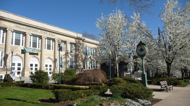 Allnex USA Inc. (Wallingford)